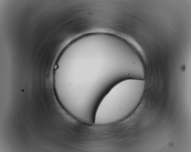 X0000103411380200809120938