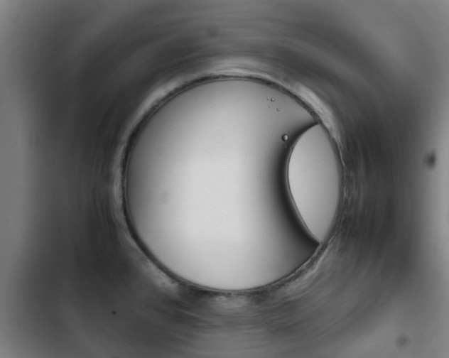 X0000103411384200809120938