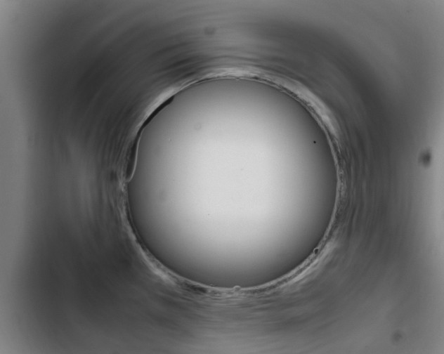 X0000103411385200809120938