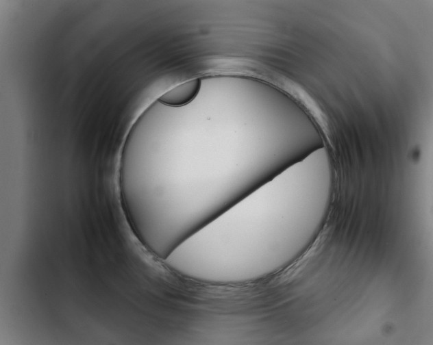 X0000103411386200809120938