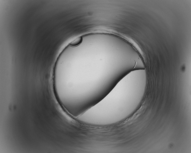 X0000103411387200809120938