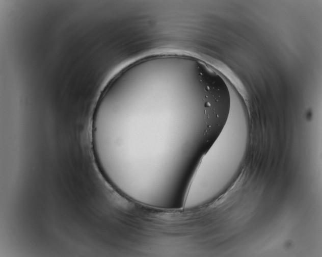 X0000103411388200809120938