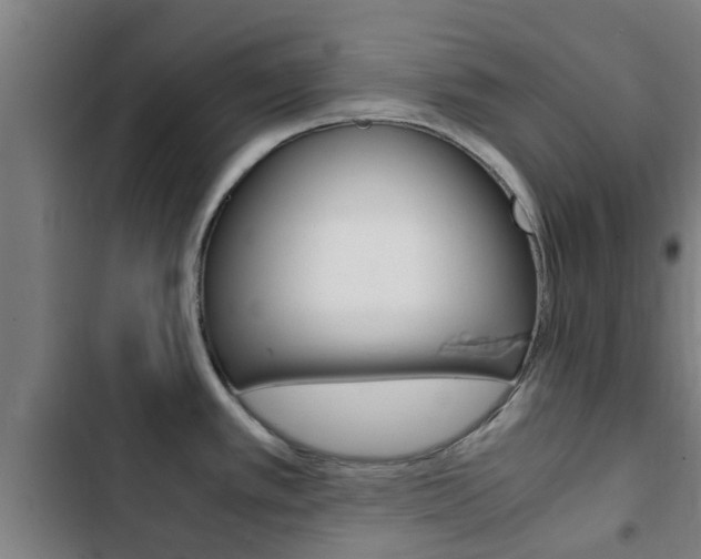 X0000103411389200809120938