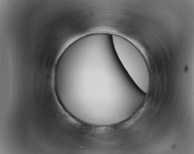 X0000103411390200809120938