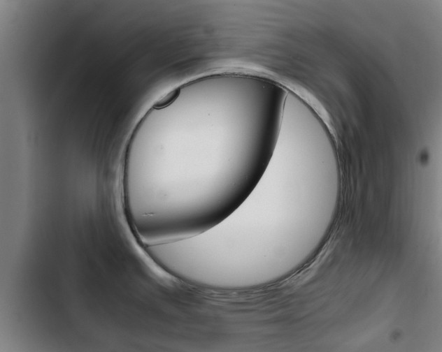 X0000103411391200809120938