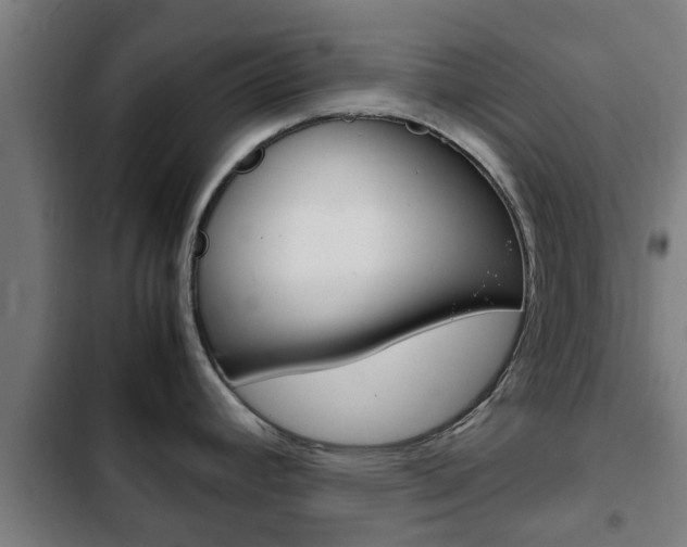 X0000103411392200809120937