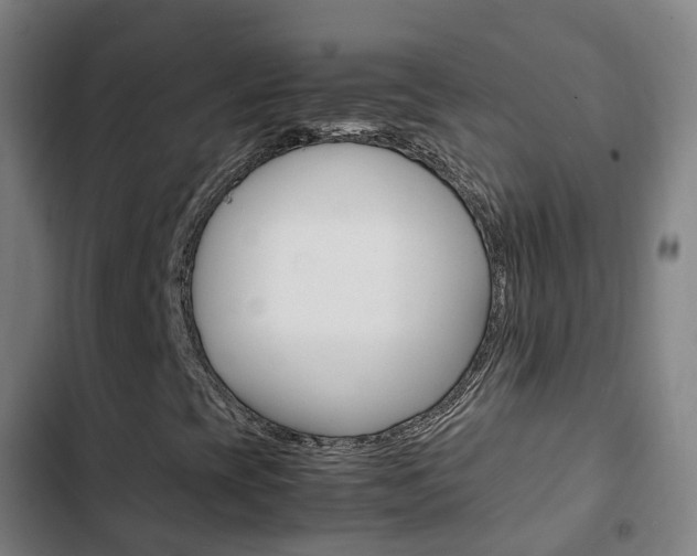 X0000103411393200809120937