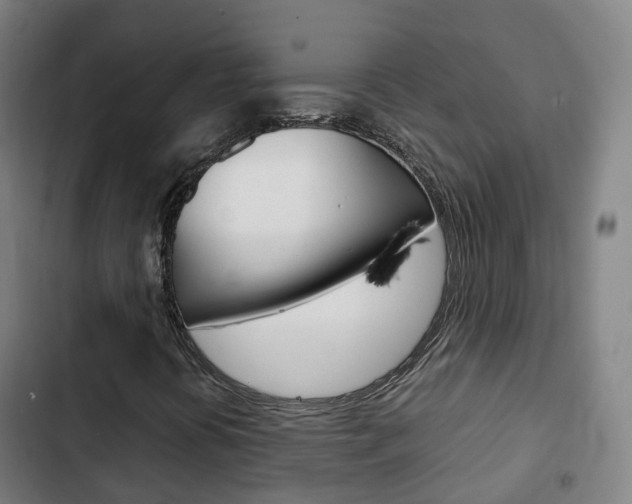 X0000103411394200809120937