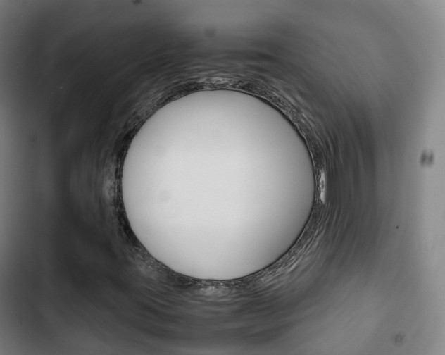 X0000103411395200809120937