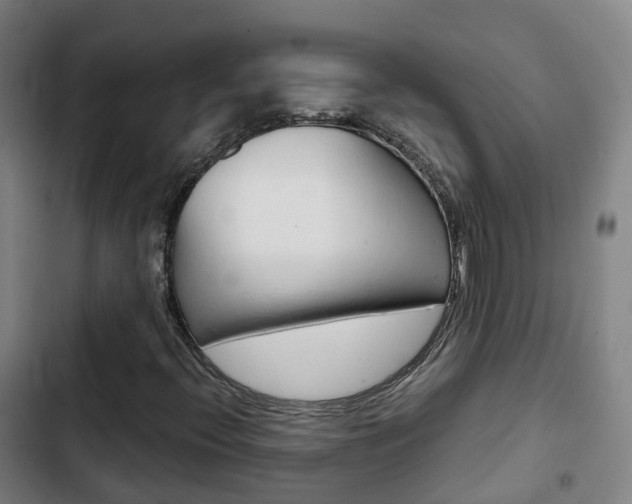 X0000103411396200809120937