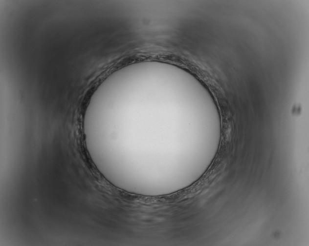X0000103411397200809120937