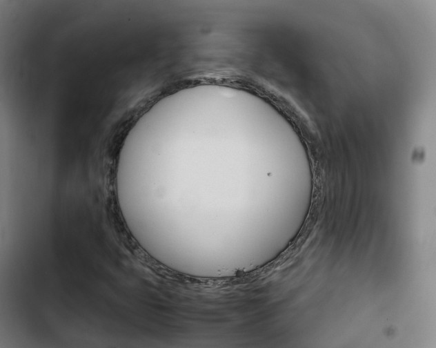 X0000103411399200809120937