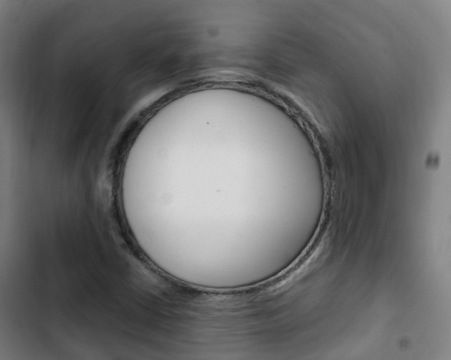 X0000103411402200809120937