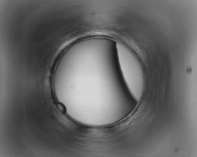 X0000103411404200809120937