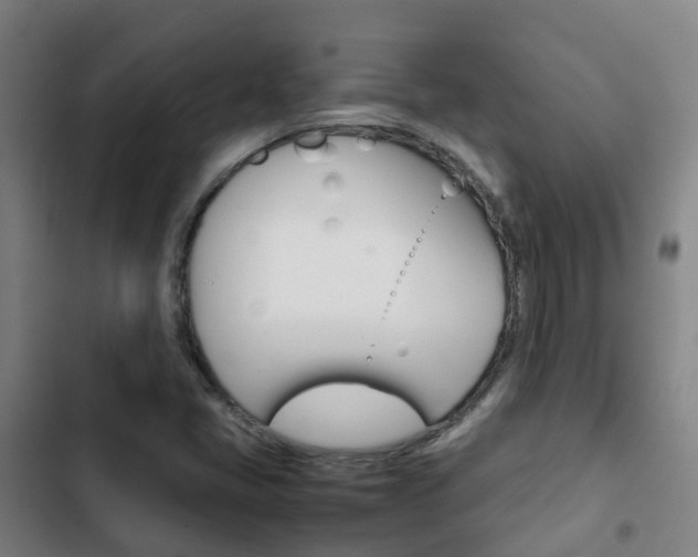 X0000103411405200809120937