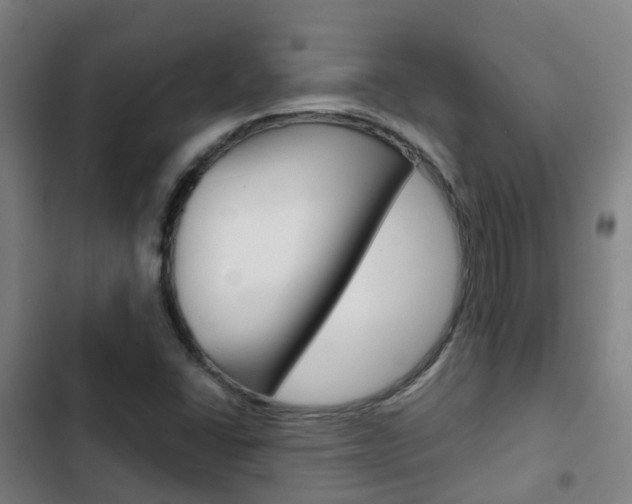 X0000103411406200809120937