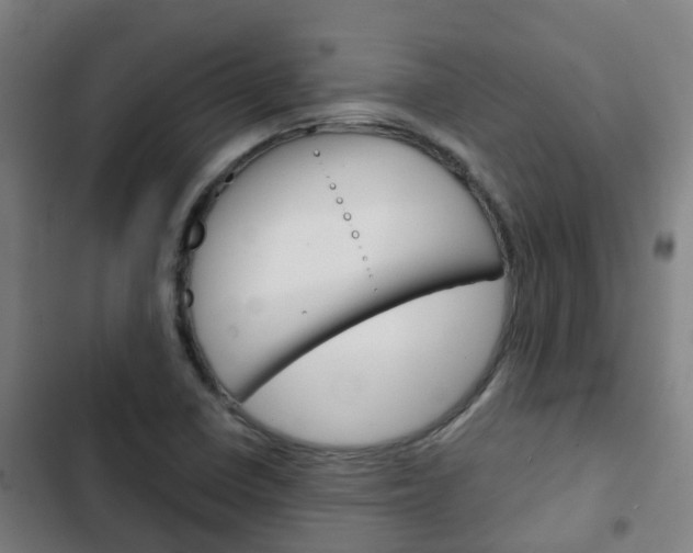 X0000103411410200809120937