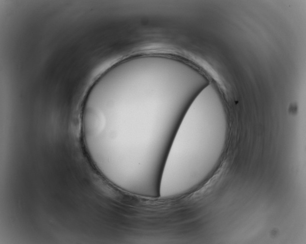 X0000103411413200809120937