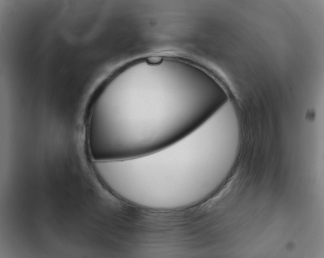 X0000103411414200809120937