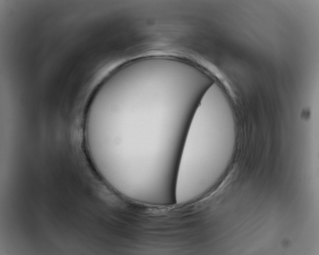 X0000103411415200809120937