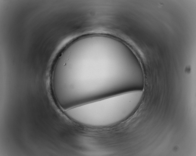 X0000103411416200809120937