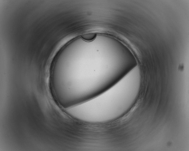 X0000103411418200809120937