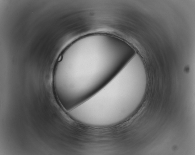 X0000103411420200809120937