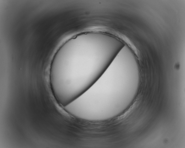 X0000103411421200809120937