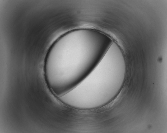 X0000103411422200809120937