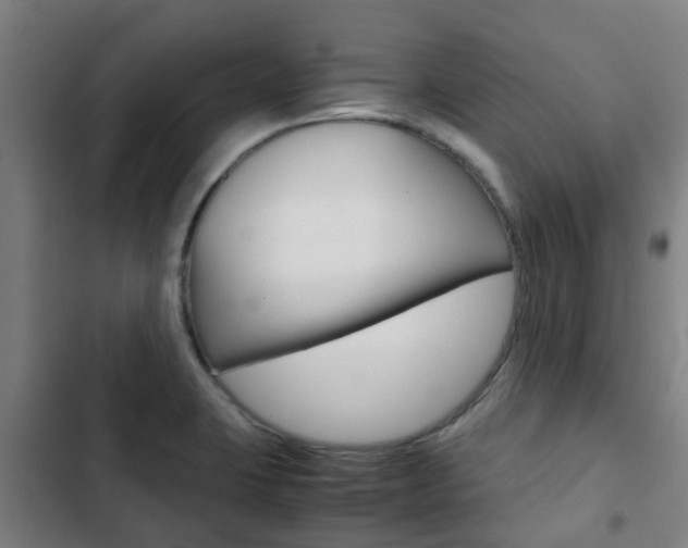 X0000103411423200809120937