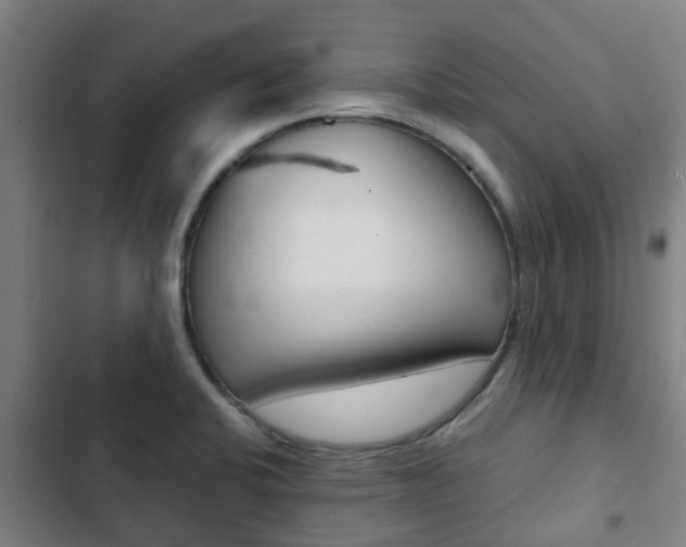 X0000103411424200809120937