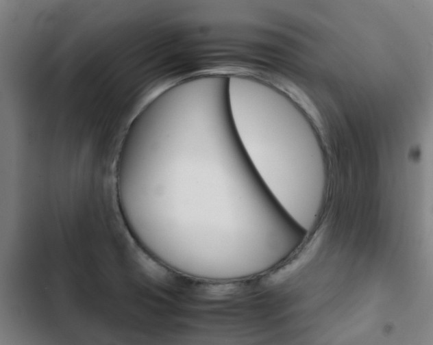 X0000103411425200809120937