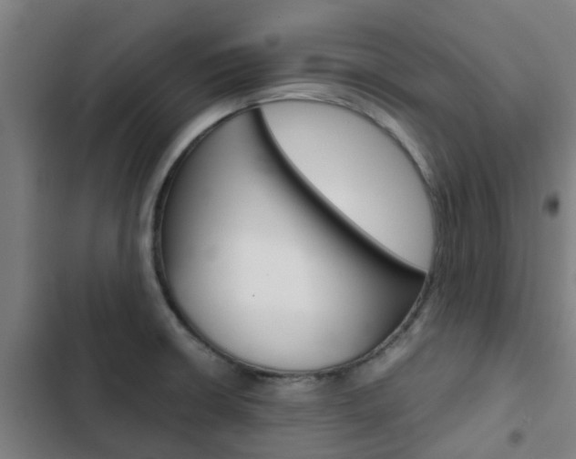 X0000103411426200809120937