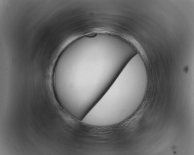 X0000103411427200809120937