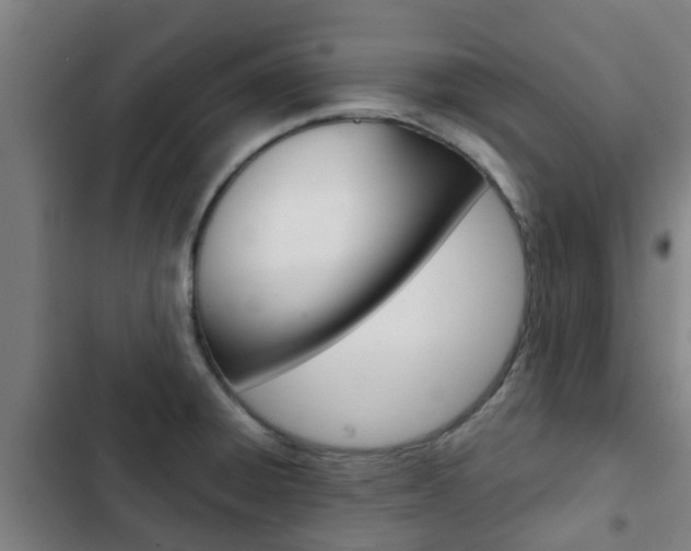 X0000103411428200809120937