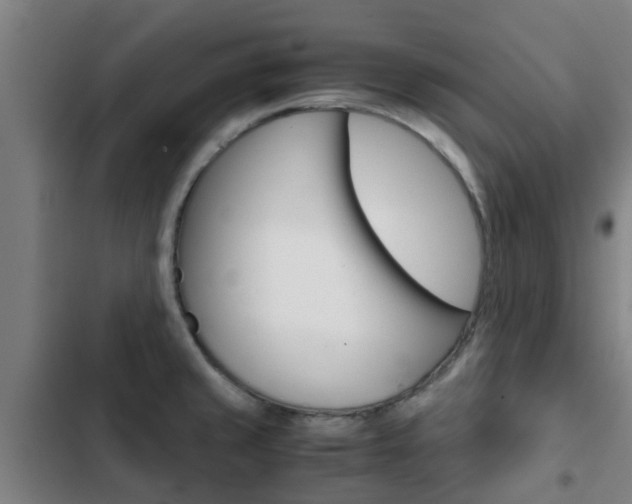 X0000103411429200809120937