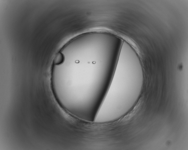X0000103411430200809120937