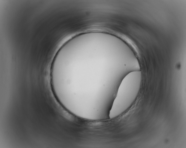 X0000103411431200809120937