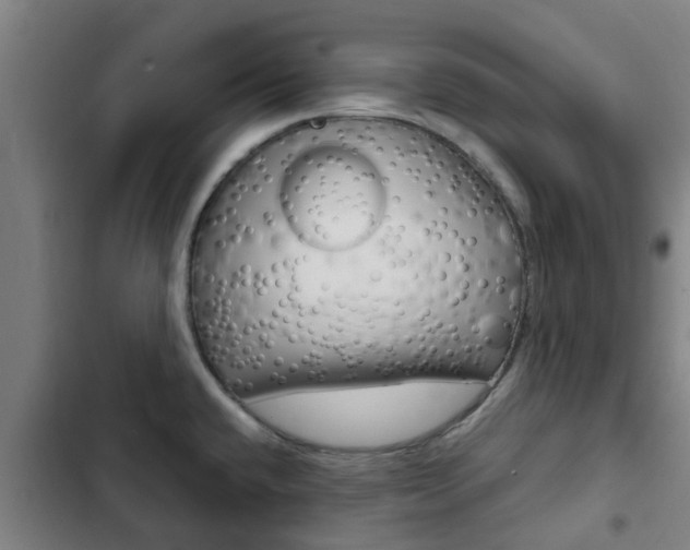 X0000103411432200809120937