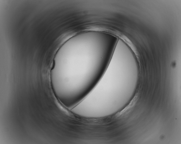 X0000103411433200809120937