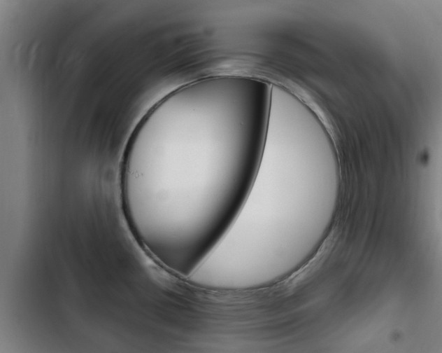 X0000103411434200809120937