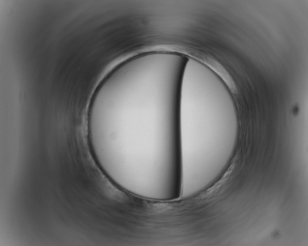 X0000103411436200809120937