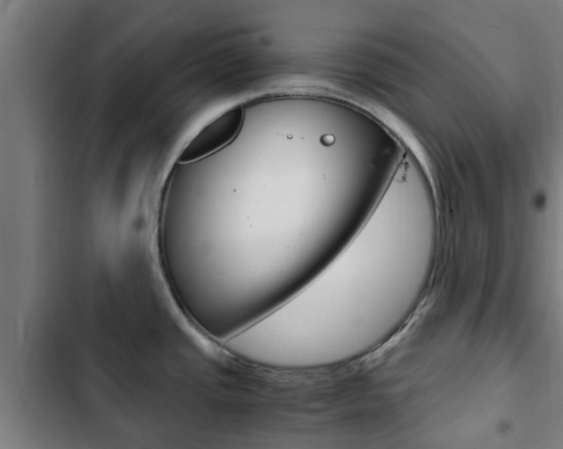 X0000103411437200809120937