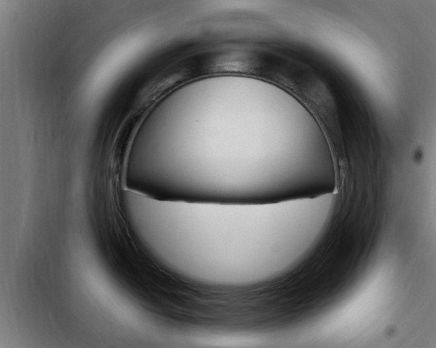 X0000103411438200809120937
