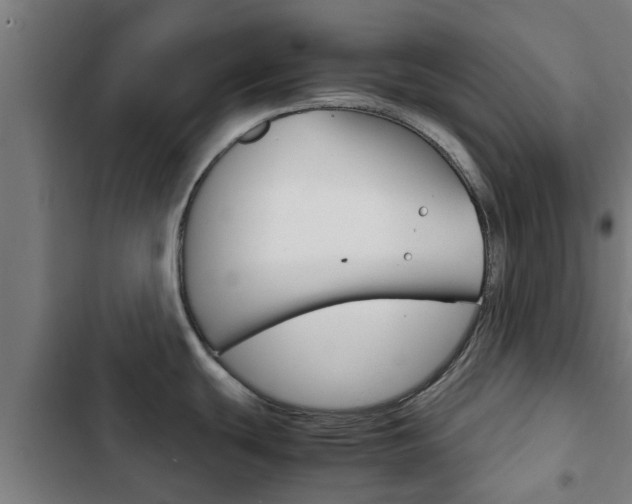 X0000103411439200809120937