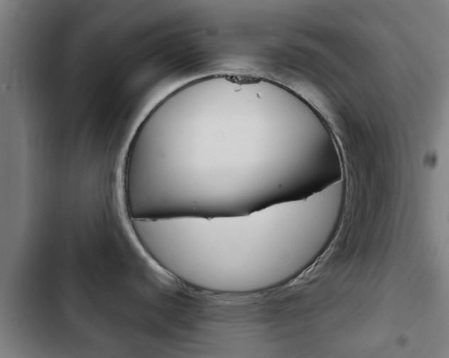 X0000103411440200809120937