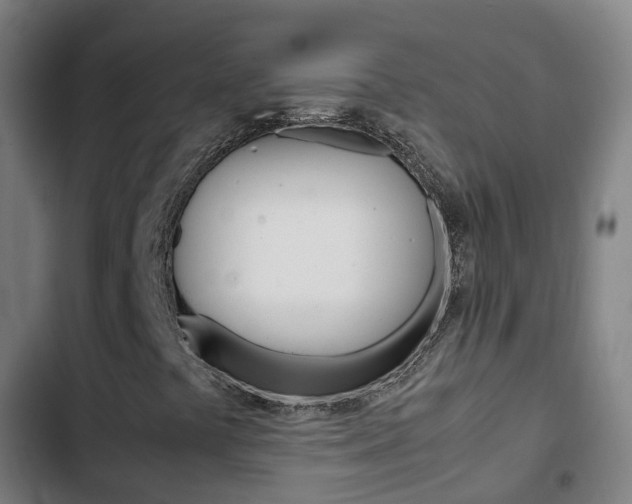 X0000103411441200809120937
