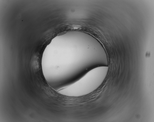 X0000103411442200809120937