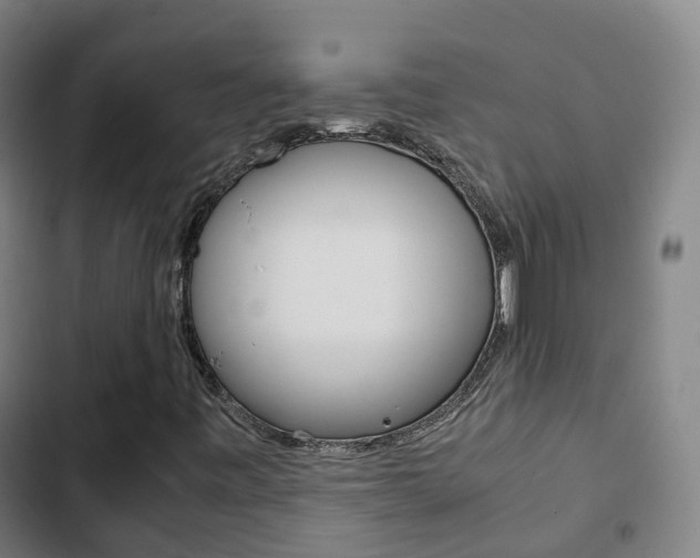 X0000103411443200809120937
