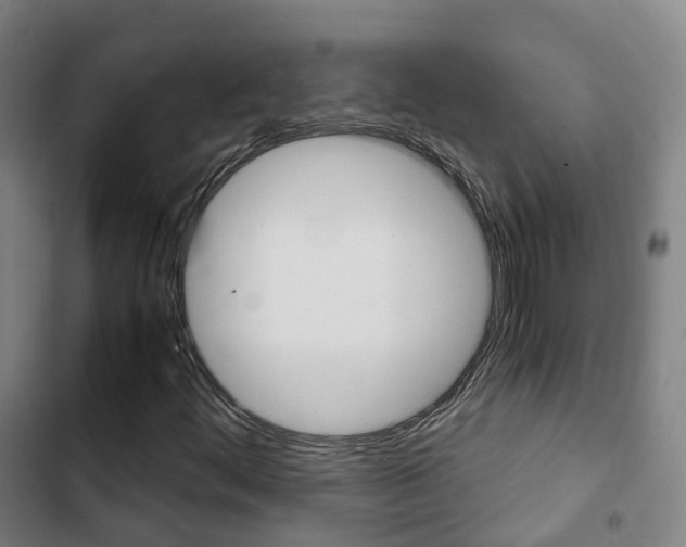 X0000103411444200809120937